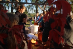 Unbenannte Anlage 00004