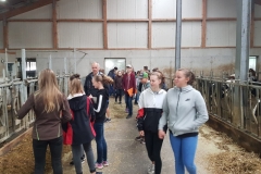 20190926_061459000_iOS-1