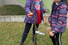 P1180291
