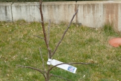P1180301