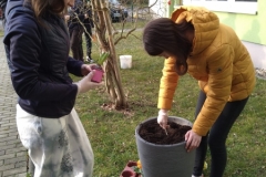 Anzeiger-Fruehling-Bild-1 Anzeiger-Fruehling-Bild-1