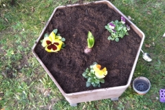 Anzeiger-Fruehling-Bild-2 Anzeiger-Fruehling-Bild-2