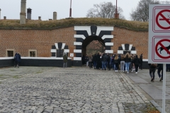 P1010490
